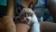 Marie