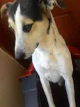 Billy