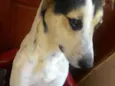 Billy