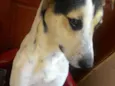 Billy
