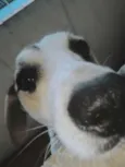 Billy