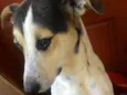 Billy