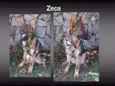 ZECA