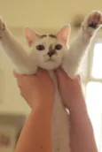 Nina