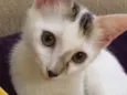 Nina
