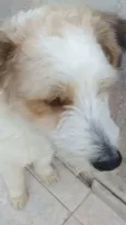 Scobby