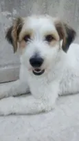 Scobby
