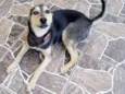 Belinha