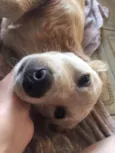 Sally