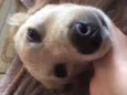 Sally