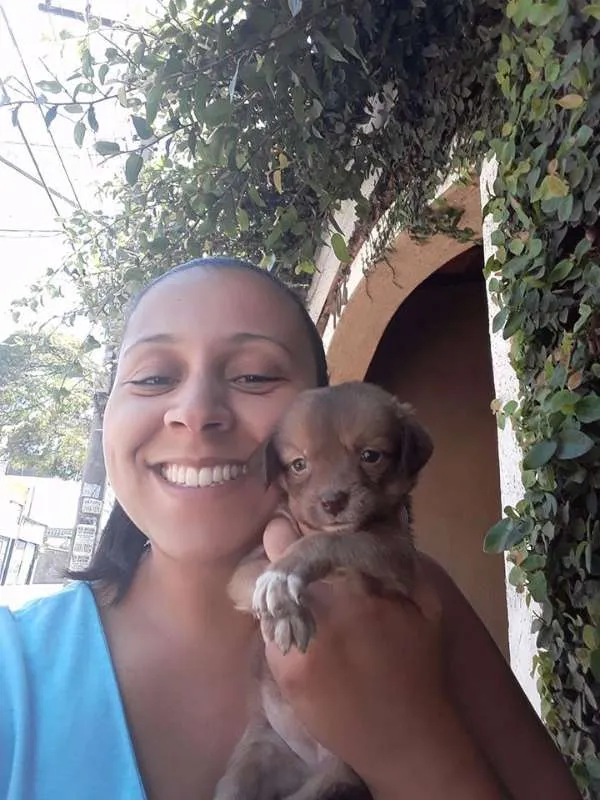 Cachorro ra a SRD idade Abaixo de 2 meses nome MARI