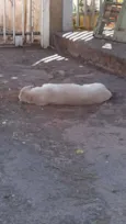 não sei esta na rua