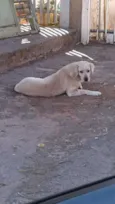 não sei esta na rua