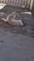 não sei esta na rua