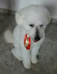 Tony
