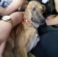Frida