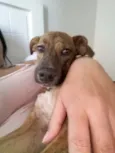 Frida