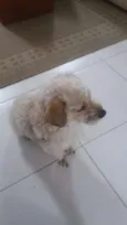 PETEKA