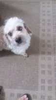 PETEKA