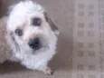 PETEKA