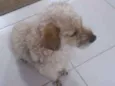 PETEKA