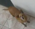 Mel