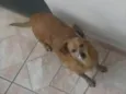 Mel