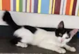 Mia