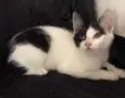 Mia