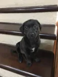Nina