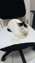 Sem 