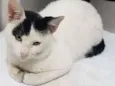 Sem 