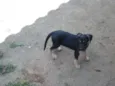 ainda não tem