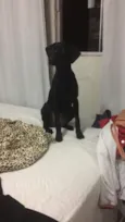 Meg