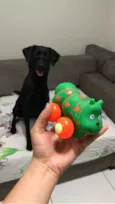 Meg