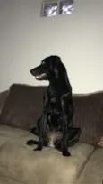 Meg