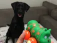Meg