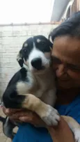 Caio