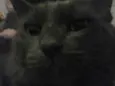 júnior