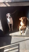Mel e Bobby
