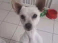 Joaquim