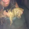 MEL