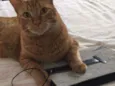 Suflair