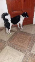 MEGGI E OLIVIA