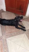 MEGGI E OLIVIA