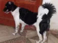 MEGGI E OLIVIA