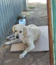 não sei esta na rua