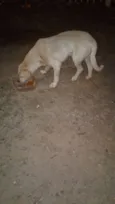 não sei esta na rua