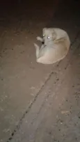 não sei esta na rua