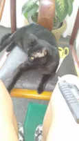 Bruce